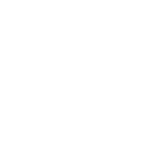 Reconditioned Iveco Engines